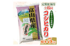 ＜2ヵ月毎定期便＞松永うの花農園産コシヒカリ5kg全6回【4058602】