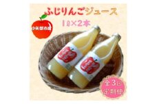 ＜2ヵ月毎定期便＞丸ごとサンふじりんごジュース　1L×2本全3回【4059699】