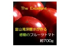 お試しサイズ!フルーツトマト「深層水トマト」約700g【1650498】