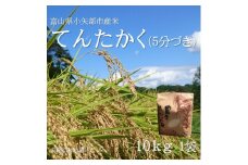 ＜2025年9月上旬頃から順次発送＞令和7年産米「てんたかく」(5分づき)10kg×1袋【1655820】
