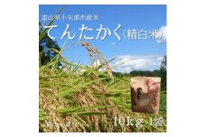 ＜2025年9月上旬頃から順次発送＞令和7年産米「てんたかく」(精米)10kg×1袋【1655823】