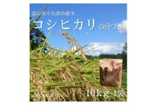 ＜新米先行受付 25年10月上旬～順次発送＞令和7年富山県産「コシヒカリ」(5分づき)10kg×1袋【1656074】
