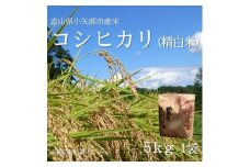 ＜新米先行受付 2025年10月上旬～順次発送＞令和7年富山県産「コシヒカリ」(精米)5kg×1袋【1656079】