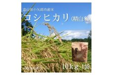 ＜新米先行受付 2025年10月上旬～順次発送＞令和7年富山県産「コシヒカリ」(精米)10kg×1袋【1656083】
