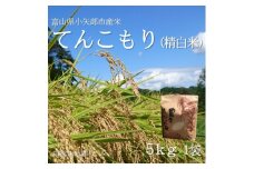 ＜新米先行受付(2025年11月上旬から順次発送)＞令和7年産米「てんこもり」(精米)5kg×1袋【1656174】