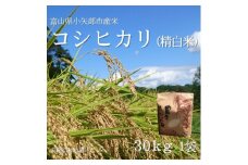 ＜新米先行受付 2025年10月上旬～順次発送＞令和7年富山県産「コシヒカリ」(精米)30kg×1袋【1656084】