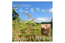 ＜新米先行受付(2025年11月上旬から順次発送)＞令和7年産米「てんこもり」(精米)30kg×1袋【1656178】