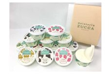 GelateriaZUCCA手作りジェラートセット12個