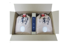 定期便・12回  富山県産こしひかり 　育（はぐくみ）  白米３kg×２袋《南砺の逸品》