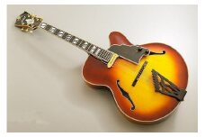 【ギター】S.Tsuji　DA-17　Model《南砺の逸品》