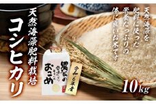 【令和6年産】みどりふぁーむの天然海藻肥料栽培コシヒカリ10kg