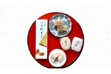 南砺市の干柿を使用したつる柿最中9個＋つる柿羊羹2本《南砺の逸品》