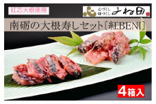 南砺の大根寿しセット〔紅BENI〕紅芯大根使用　無添加・無着色