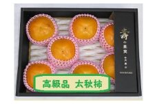 甘柿　太秋柿6L×7個入（2.8kg以上） 化粧大箱入り【2024年10月20日以降発送】