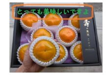 甘柿　太秋柿4L×8個入（2.45kg以上） 化粧大箱入り【2024年10月20日以降発送】