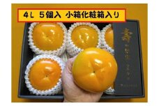 甘柿　太秋柿4L×5個入（1.55kg以上） 化粧小箱入り【2024年10月20日以降発送】