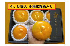 甘柿　太秋柿4L×5個入（1.55kg以上） 化粧小箱入り【2025年10月17日頃より発送】