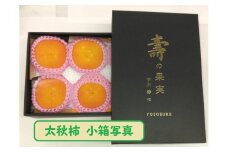 甘柿　太秋柿3L×6個入（1.5kg以上） 化粧小箱入り【2024年10月20日以降発送】