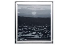 グッドデザイン賞受賞　網戸張替シート【散居村の夕日】