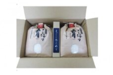 定期便・12回  富山県産こしひかり 　育（はぐくみ）  白米３kg×２袋《南砺の逸品》