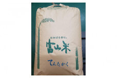 【令和7年産】みどりふぁーむのてんたかく 玄米 30kg