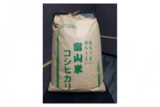 【令和6年産】みどりふぁーむのコシヒカリ 玄米 20kg