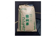 【令和7年産】みどりふぁーむのコシヒカリ 玄米 20kg