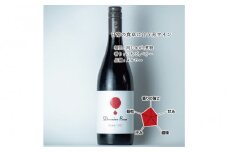 Domaine Beau ドメーヌボー メルロー 2022 ワイナリー風景ポチ袋5枚セット付き