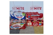 乳酸菌飲料おためしセット3000