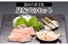 お刺身 北陸の旬なお魚 富山名物「昆布〆のセット」真カジキ 車鯛 甘えび｜魚介 魚貝 お刺身 鮮魚 こぶじめ 昆布締め 昆布じめ シーフード たい 海老 化学調味料 保存料 不使用 北陸 富山県 射水市