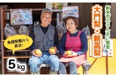 梨 射水の鳥越梨園から直送！【大門梨（新高梨）】5kg  果物 フルーツ なし 北陸 富山 ※2025年9月下旬～2025年10月上旬頃に順次発送いたします