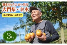梨 射水の鳥越梨園から直送！【大門梨（幸水）】3kg 果物 フルーツ なし 北陸 富山 ※2025年8月下旬～2025年9月上旬頃に順次発送いたします