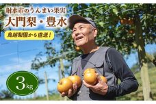 梨 射水の鳥越梨園から直送！【大門梨（豊水）】3kg  果物 フルーツ なし 北陸 富山 ※2025年9月上旬～2025年9月中旬頃に順次発送いたします