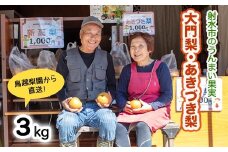 梨 射水の鳥越梨園から直送！【大門梨（あきづき梨）】3kg  果物 フルーツ なし 北陸 富山 ※2025年9月中旬～2025年9月下旬頃に順次発送いたします
