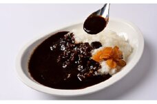 富山ブラックカレー（中辛）6食