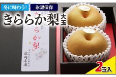冬に味わう！藤岡さんが作った氷温保存きららか梨（幸水・豊水）2玉【大玉】 ｜ 梨 ナシ 果物 フルーツ　※2025年11月下旬～2026年4月上旬頃に順次発送予定　※離島への配送不可
