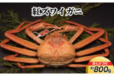紅ズワイガニ約800g（孫七タグ付）