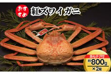 【おすすめ】紅ズワイガニ約800g×2尾（孫七タグ付）