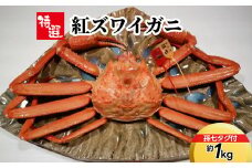 【特選】紅ズワイガニ約1kg（孫七タグ付）