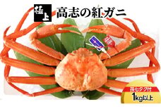 【極上】高志の紅ガニ1kg以上（孫七タグ付）