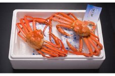 【伍右衛門】新湊産紅ズワイガニ約1kg（2～3尾）