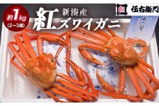 【伍右衛門】新湊産紅ズワイガニ約1kg（2～3尾） ※離島への配送不可 ※2025年10月上旬～2026年3月下旬頃 ※発送まで1か月以上かかる場合があります。