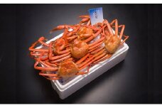 【伍右衛門】新湊産紅ズワイガニ約2kg（4～6尾）