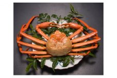 【伍右衛門】新湊産紅ズワイガニ約600g