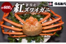 【伍右衛門】新湊産紅ズワイガニ約600g｜ずわい蟹 ずわいガニ ズワイガニ ※離島への配送不可 ※2025年10月上旬～2026年3月下旬頃 ※発送まで1か月以上かかる場合があります。