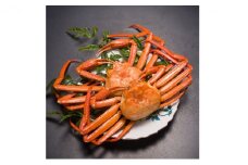 【伍右衛門】新湊産紅ズワイガニ約600g×2尾