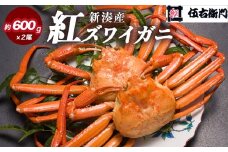 【伍右衛門】新湊産紅ズワイガニ約600g×2尾｜ずわい蟹 ずわいガニ ズワイガニ ※離島への配送不可 ※2025年10月上旬～2026年3月下旬頃 ※発送まで1か月以上かかる場合があります。