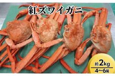 紅ズワイガニ約2kg（4～6尾）【棚辺水産】