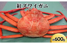 紅ズワイガニ約600g【棚辺水産】