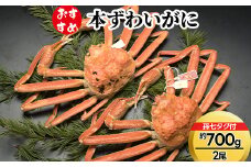 【おすすめ】本ずわいがに約700g×2尾（孫七タグ付き）